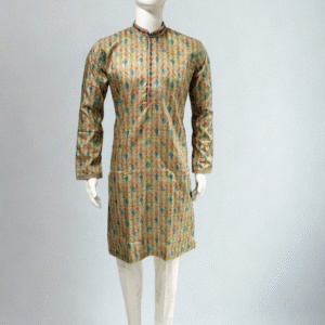Regal Ikat Heritage Kurta